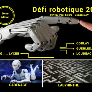Affiche défi robot 2018