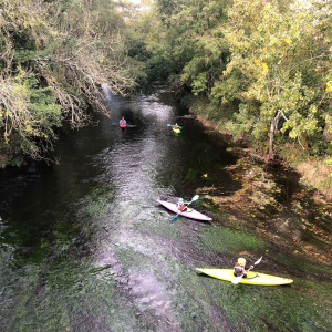 IMG-20211029-WA0013