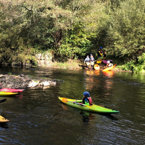 IMG-20211029-WA0028