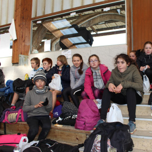 Tribunes