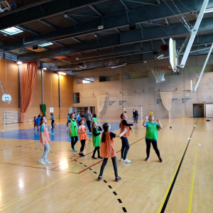 basket