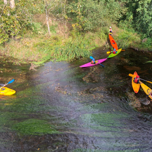 IMG-20211029-WA0008